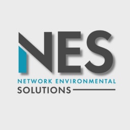 NES logo