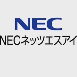 NESIC logo