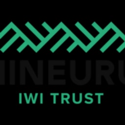 Ngāti Hineuru logo