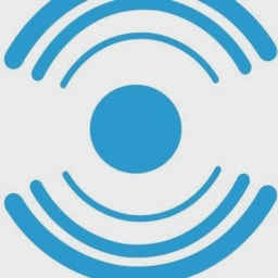 NOC logo