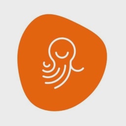Octerra logo