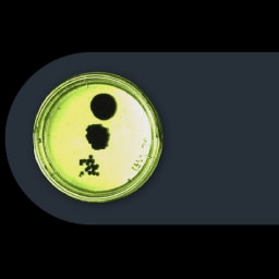 Omnix Medical logo