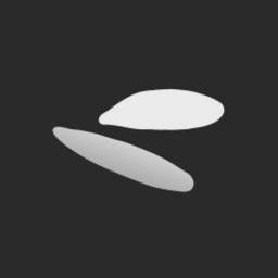 Orca Fraud logo