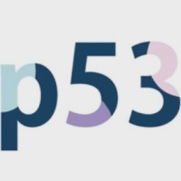 p53 logo