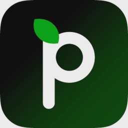 Paerpay logo