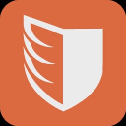 Paladin logo