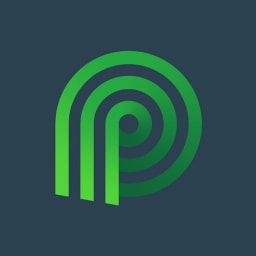 Palmetto logo
