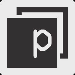 Panaseer logo