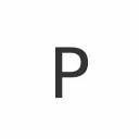 Paravision logo