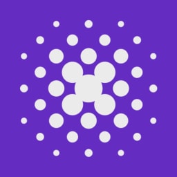 peekd logo