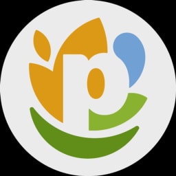 PepsiCo logo