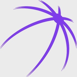 PeriVision logo