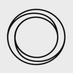 Perlon AI logo