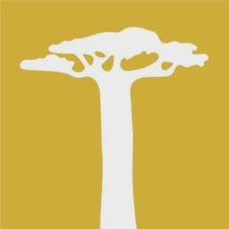 Persistent logo