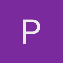 Piton Capital logo