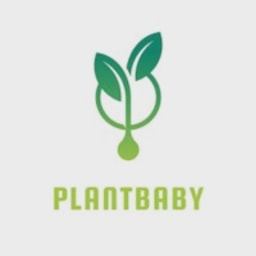 PlantBaby logo