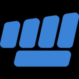 Punch Capital logo