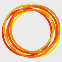 Raanro logo