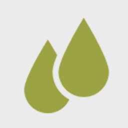 Rain Capital logo