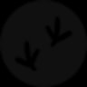 Raven logo