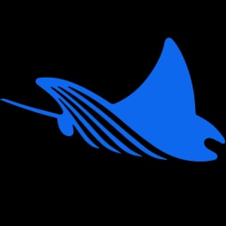 Ray Security logo