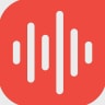 RIVS logo