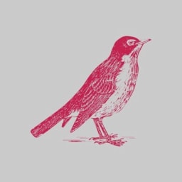 Robin Capital logo