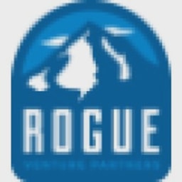 Rogue VC logo