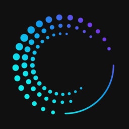 ROOK logo