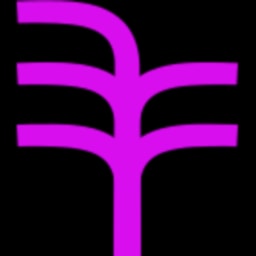 SafeToNet logo