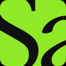 Saltmine logo