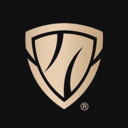 Screen Skinz logo