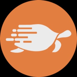 Shipturtle logo