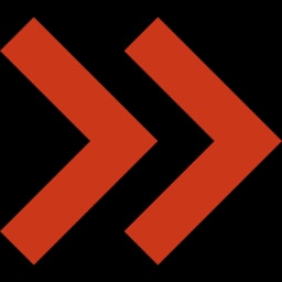 SkipLabs logo