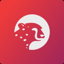 Sokin logo
