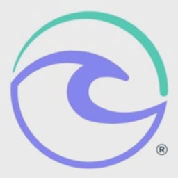 Spring logo