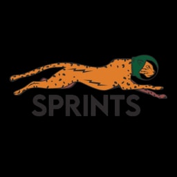 Sprints logo