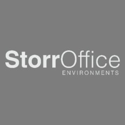Storr logo
