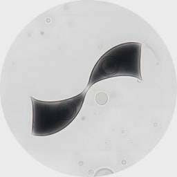 StrideHQ logo