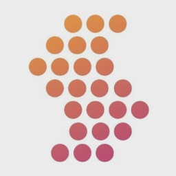 STRM logo