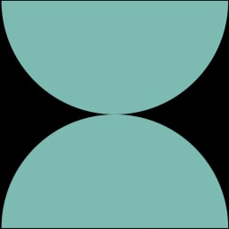 SweepSouth logo