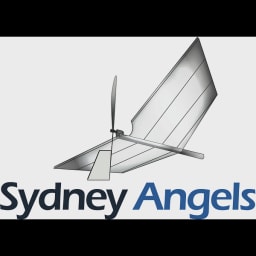 Sydney Angels logo