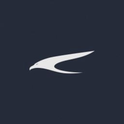 Talon Capital logo