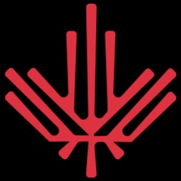 The C100 logo