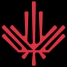 The C100 logo
