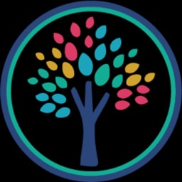 TSOLife logo