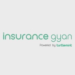 Turtlemint logo