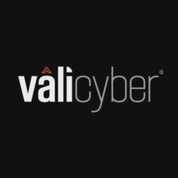 Vali Cyber logo