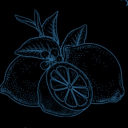 VAMIGAS logo