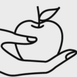 Vice Ventures logo